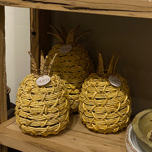 Ananas Biblo