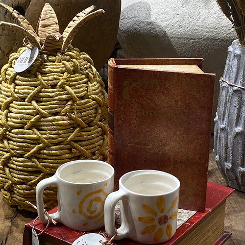 Arkadaşlık Kupası